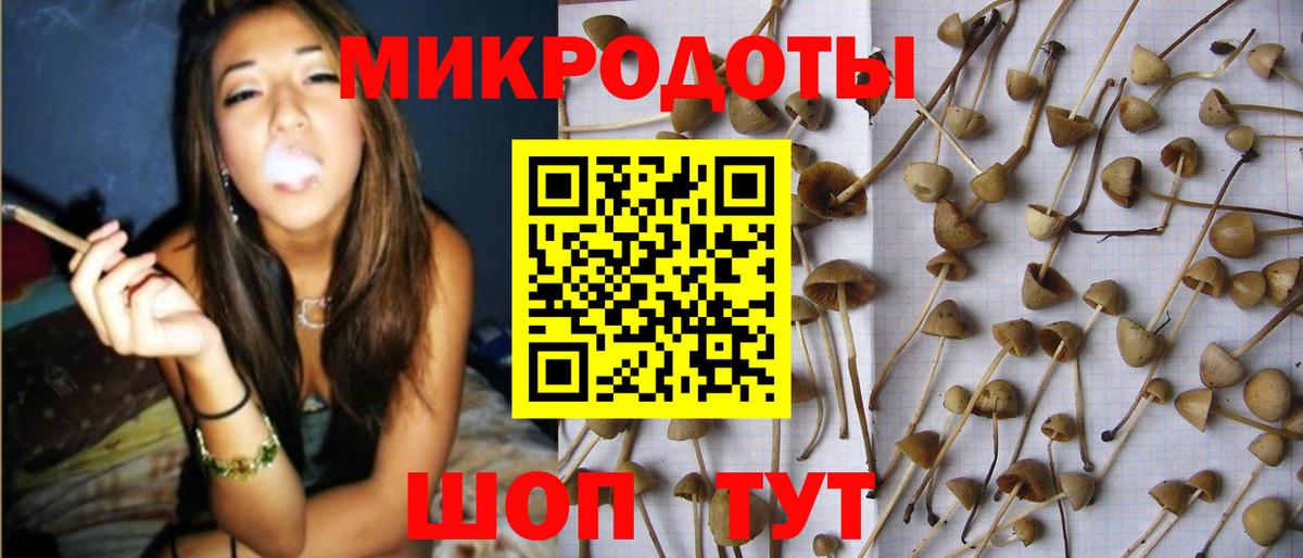 Псилоцибиновые грибы прущие грибы  купить наркоту  Йошкар-Ола  Галлюциногенные грибы мухоморы  Вход с VPN 